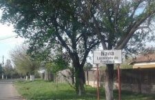 Un nou scandal la Nana | Tânăr de 26 de ani bătut cu pumnii și picioarele